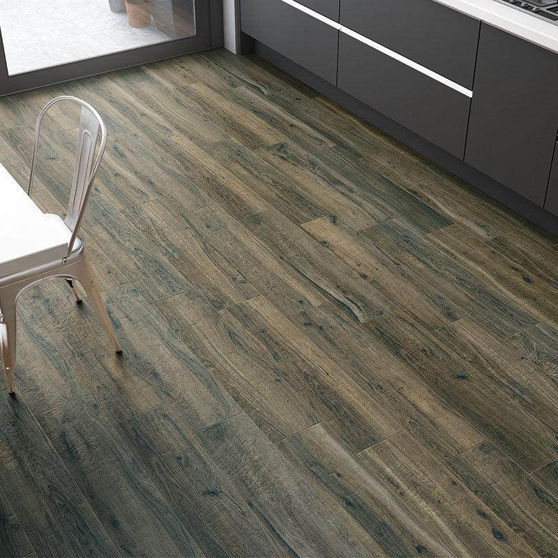 QDI Surfaces Amazonia 8" x 36" Porcelain Tile Oliva