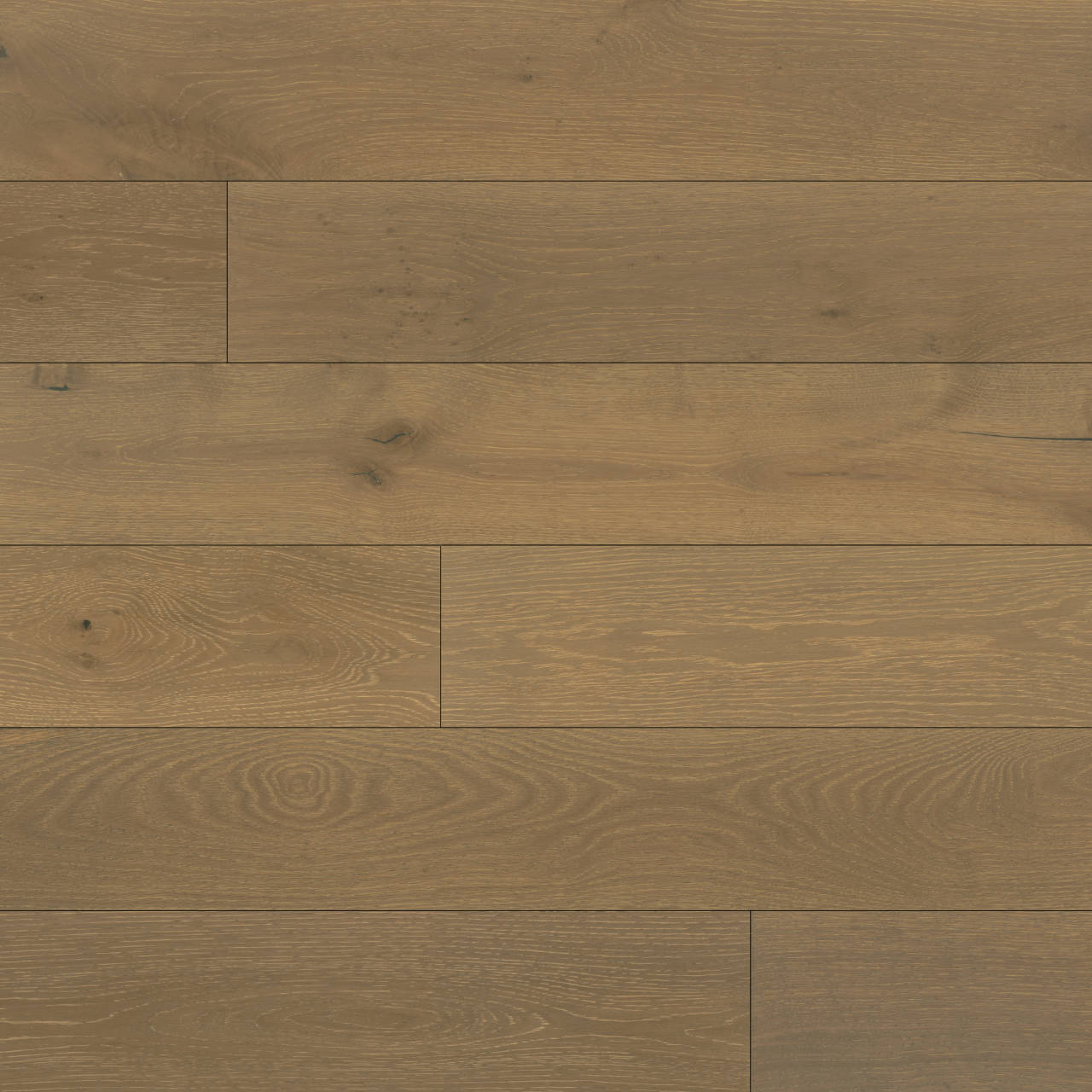 Bedrosians Newport 7.5" x 75" Hardwood Plank