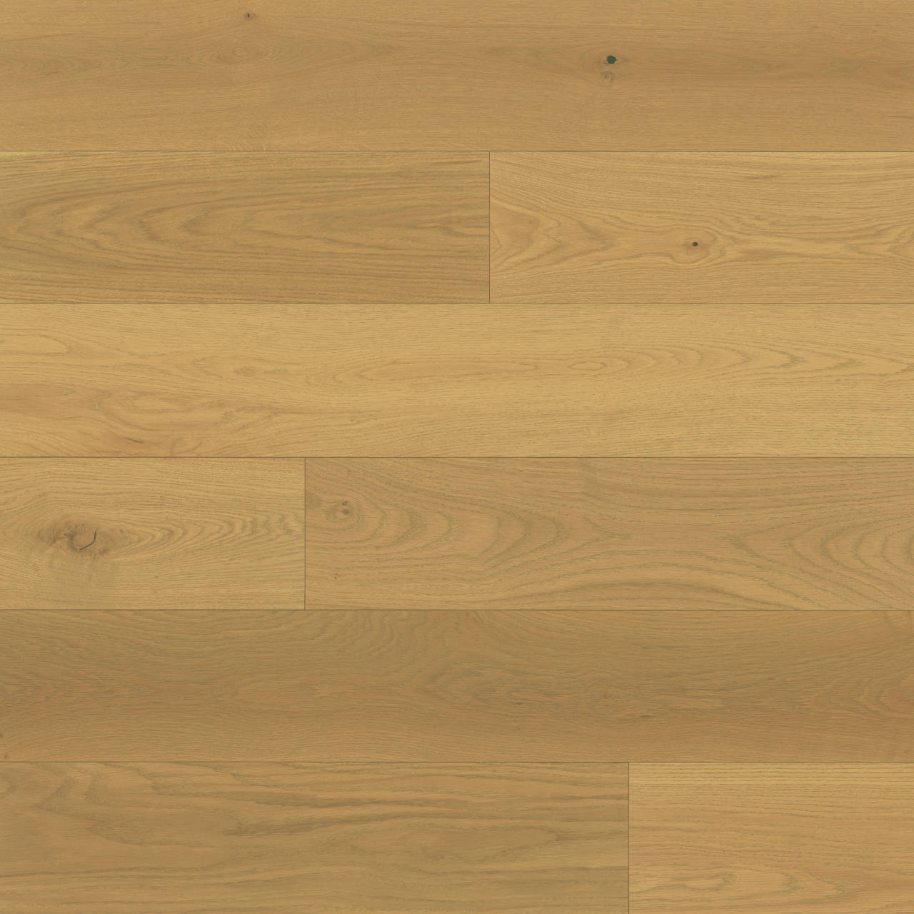 Bedrosians Newport 7.5" x 75" Hardwood Plank