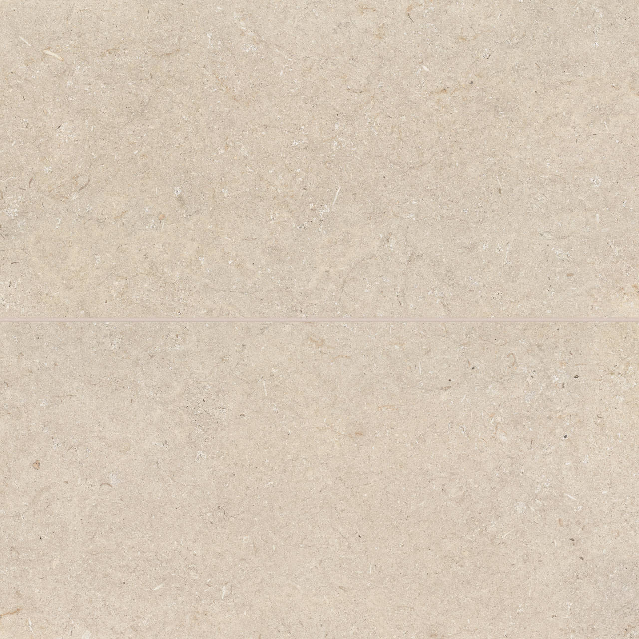 Bedrosians Poetry Stone 24" x 48" Porcelain Tile