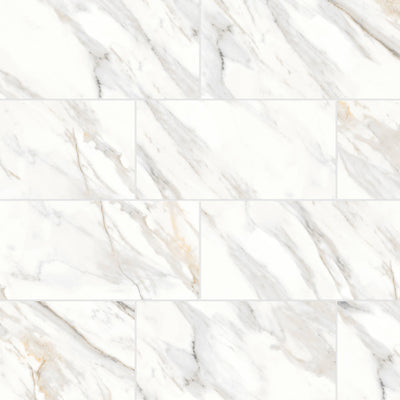 Bedrosians Shandar 12" x 24" Porcelain Tile