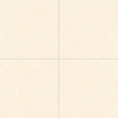 Bedrosians Shandar 24" x 24" Porcelain Tile