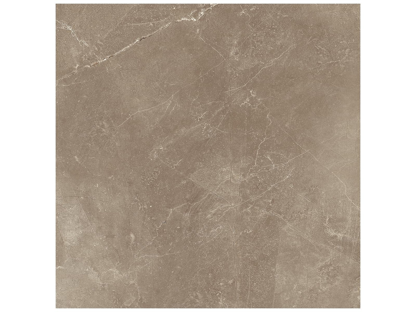 Anatolia Classic 12" x 12" Porcelain Tile