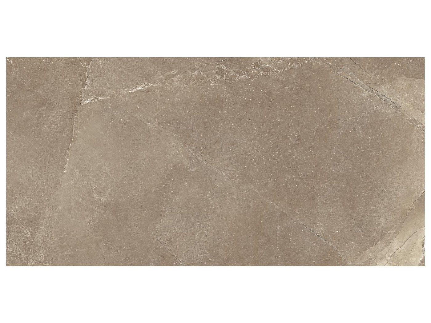 Anatolia Classic 12" x 24" Porcelain Tile