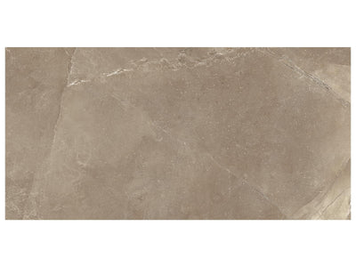 Anatolia Classic 12" x 24" Porcelain Tile