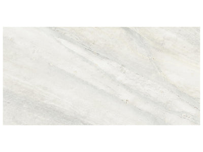 Anatolia Evolution 12" x 24" Porcelain Tile