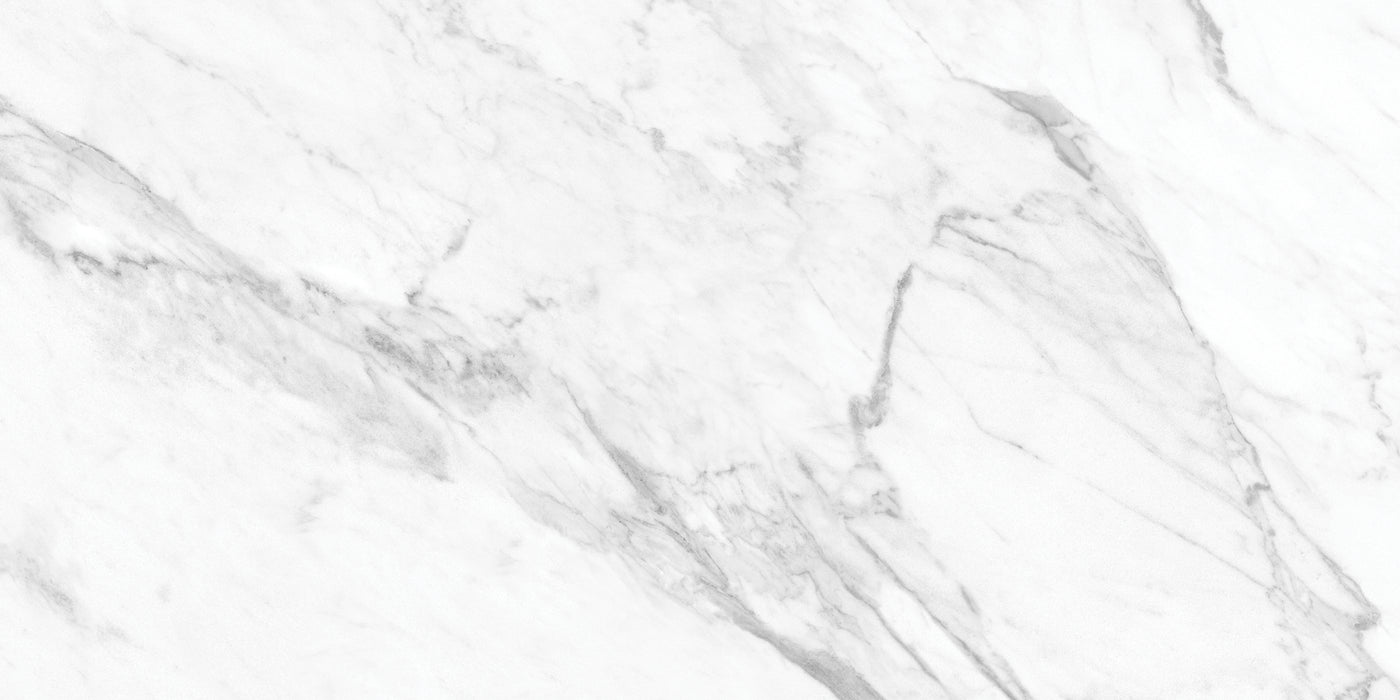 Tesoro La Marca 24" x 48" Porcelain Tile