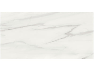 Anatolia Mayfair 12" x 24" Porcelain Tile