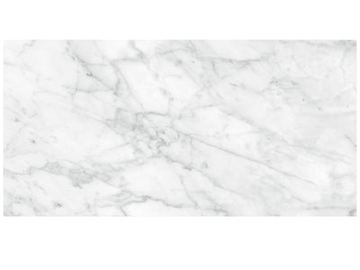 Anatolia Plata 12" x 24" Porcelain Tile