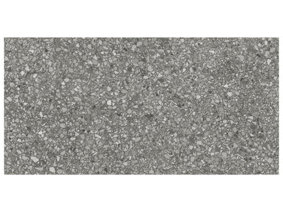 Anatolia Station 12" x 24" Porcelain Tile