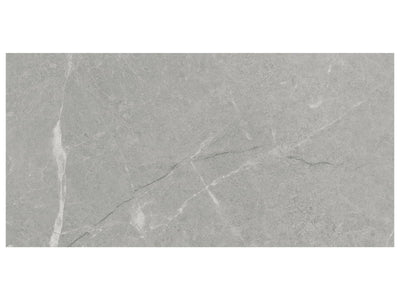 Anatolia Torino 12" x 24" Porcelain Tile