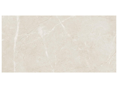 Anatolia Torino 12" x 24" Porcelain Tile