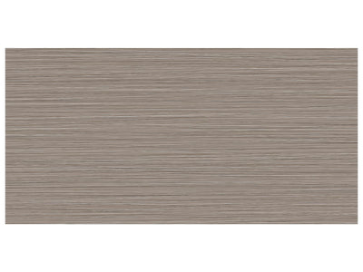 Anatolia Zera Annex 12" x 24" Porcelain Tile