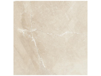 Anatolia Classic 18" x 18" Porcelain Tile