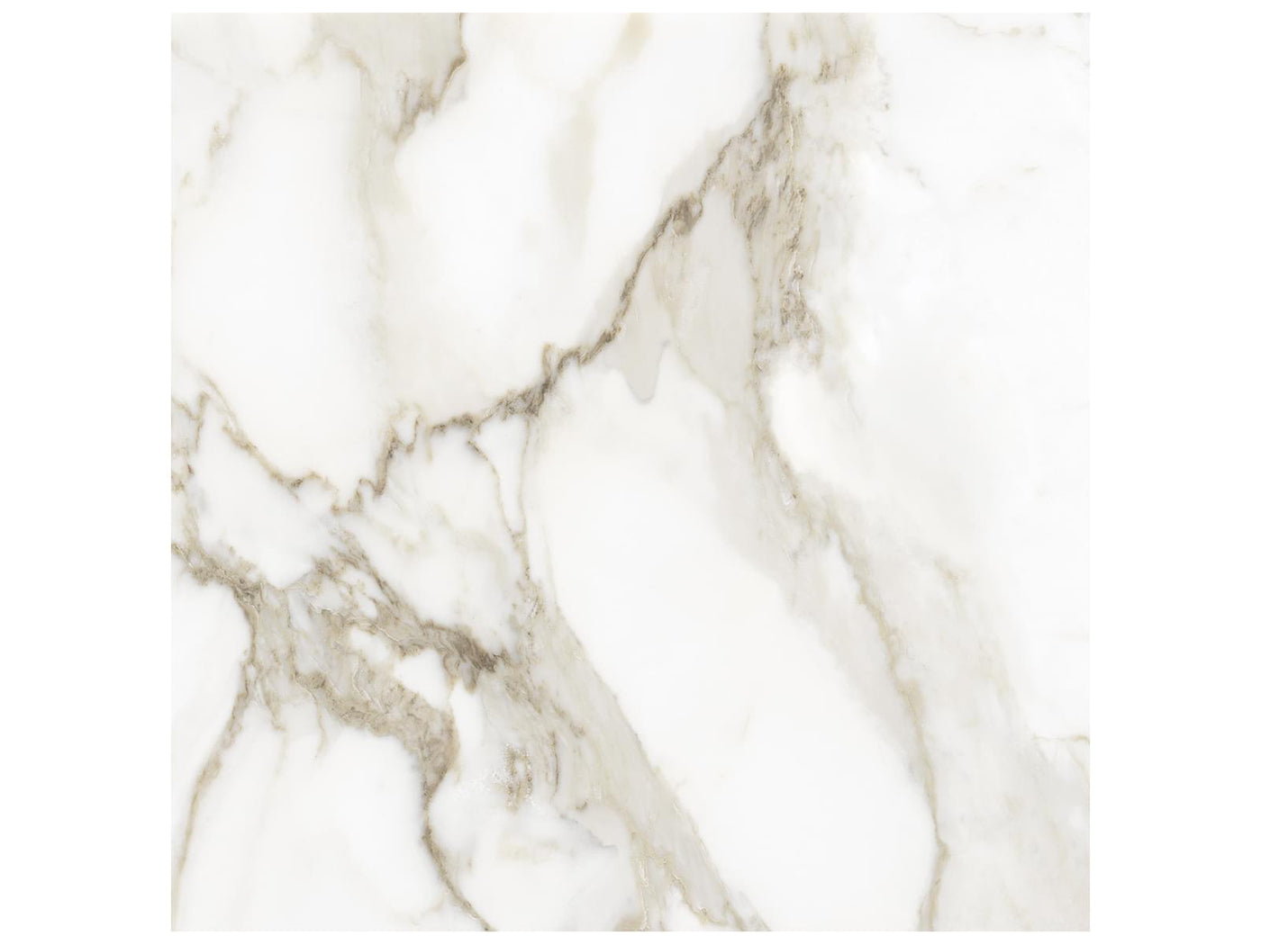 Anatolia La Marca 24" x 24" Porcelain Tile