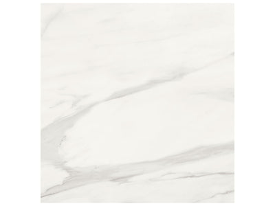 Anatolia Mayfair 24" x 24" Porcelain Tile
