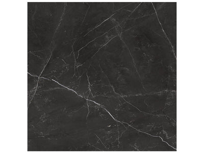 Anatolia La Marca 24" x 24" Porcelain Tile