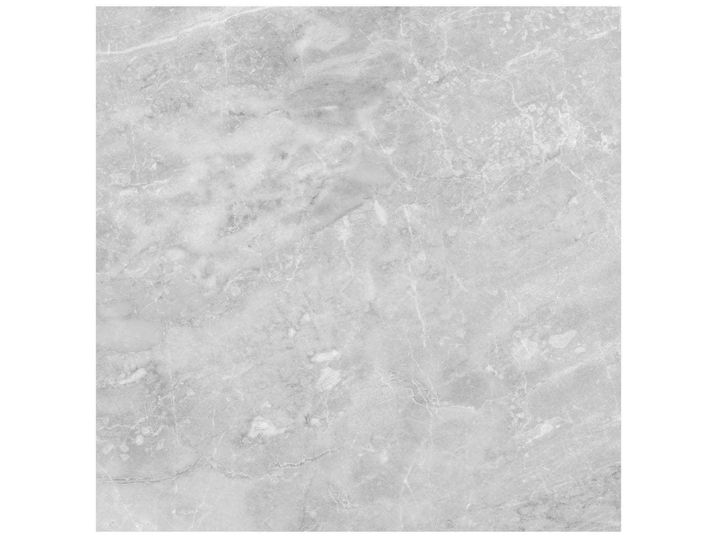 Anatolia Plata 24" x 24" Porcelain Tile