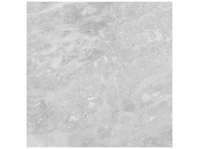 Anatolia Plata 24" x 24" Porcelain Tile