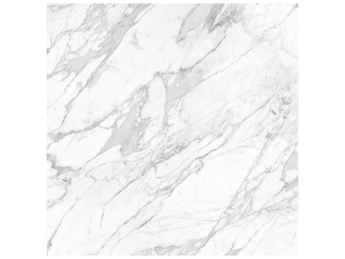 Anatolia La Marca 24" x 24" Porcelain Tile