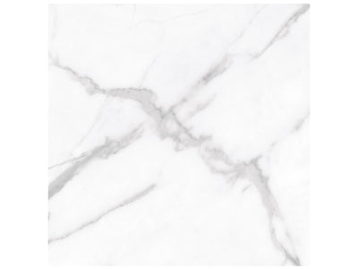 Anatolia La Marca 24" x 24" Porcelain Tile