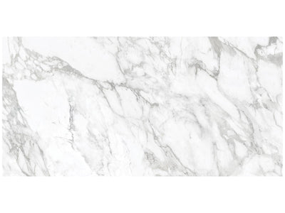 Anatolia La Marca 24" x 48" Porcelain Tile