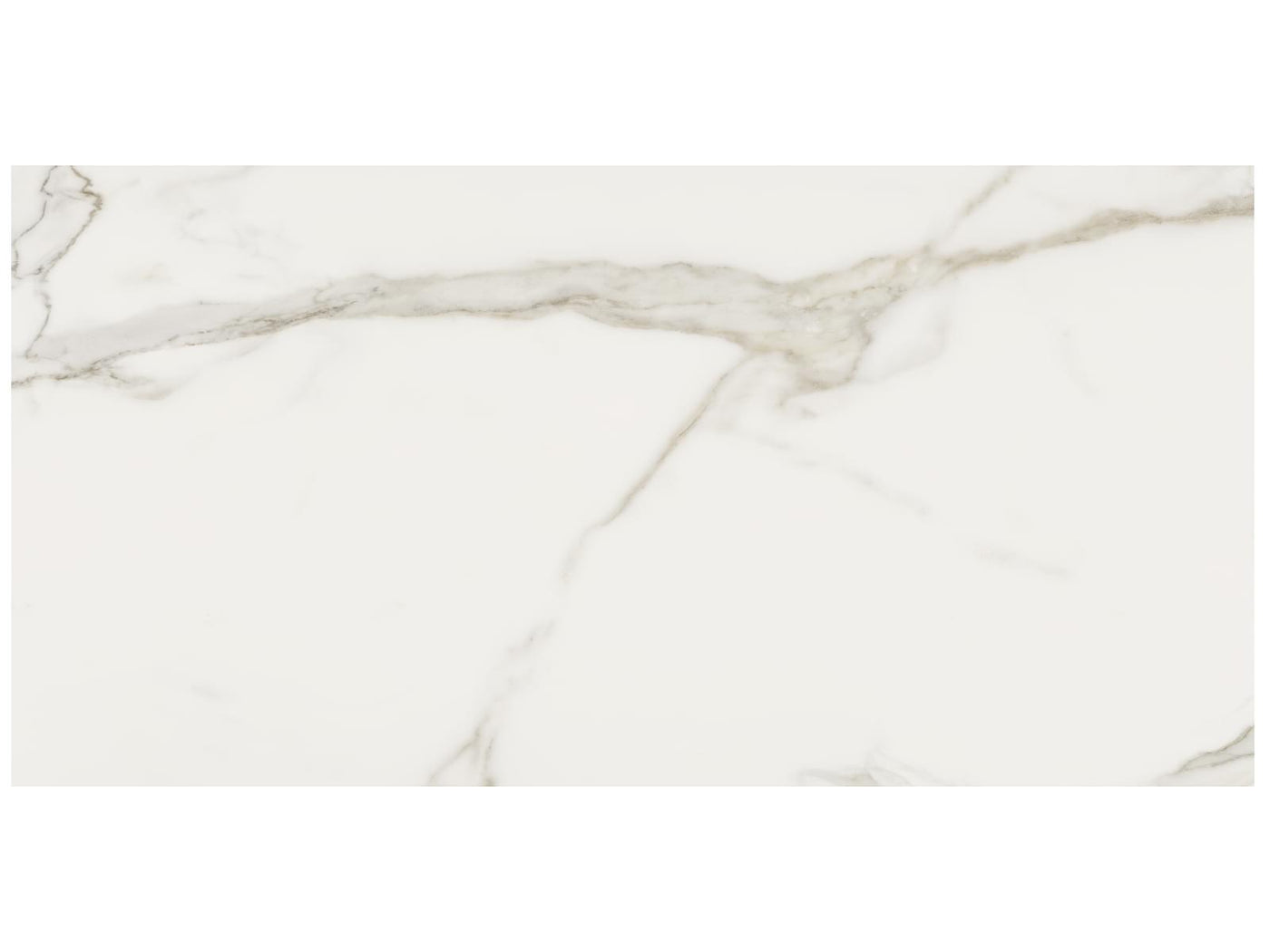 Anatolia Mayfair 24" x 48" Porcelain Tile