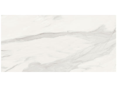 Anatolia Mayfair 24" x 48" Porcelain Tile