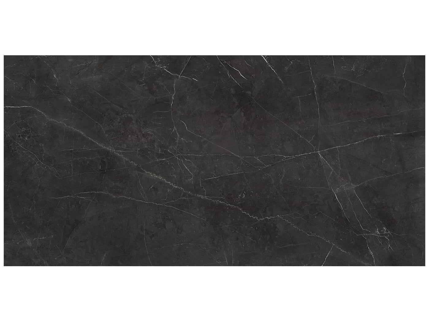 Anatolia La Marca 24" x 48" Porcelain Tile