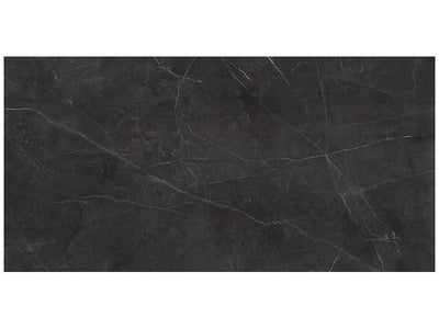 Anatolia La Marca 24" x 48" Porcelain Tile