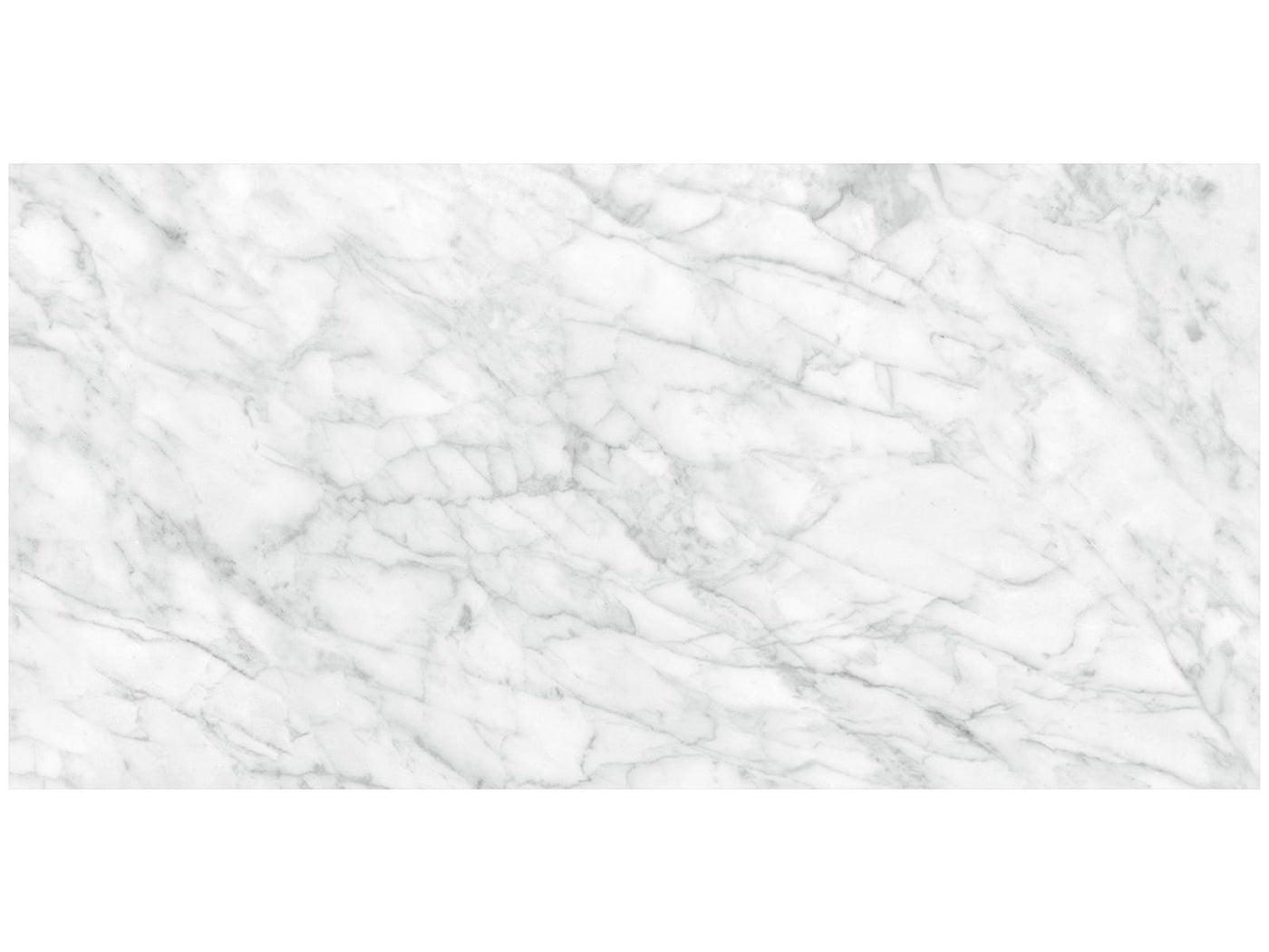 Anatolia Plata 24" x 48" Porcelain Tile
