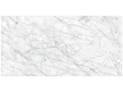 Anatolia Plata 24" x 48" Porcelain Tile