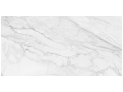 Anatolia Plata 24" x 48" Porcelain Tile