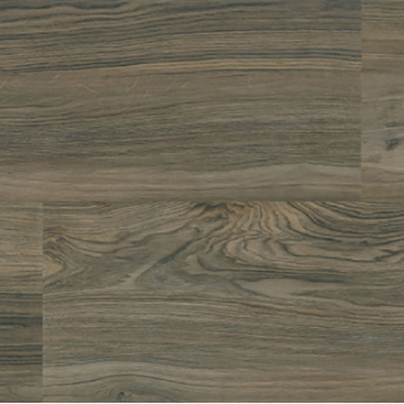 QDI Surfaces Amazonia 8" x 36" Porcelain Tile