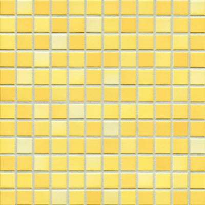 Agrob Buchtal Fresh 1 x 1 Anti-Slip 11.7" x 11.7" Porcelain Mosaic