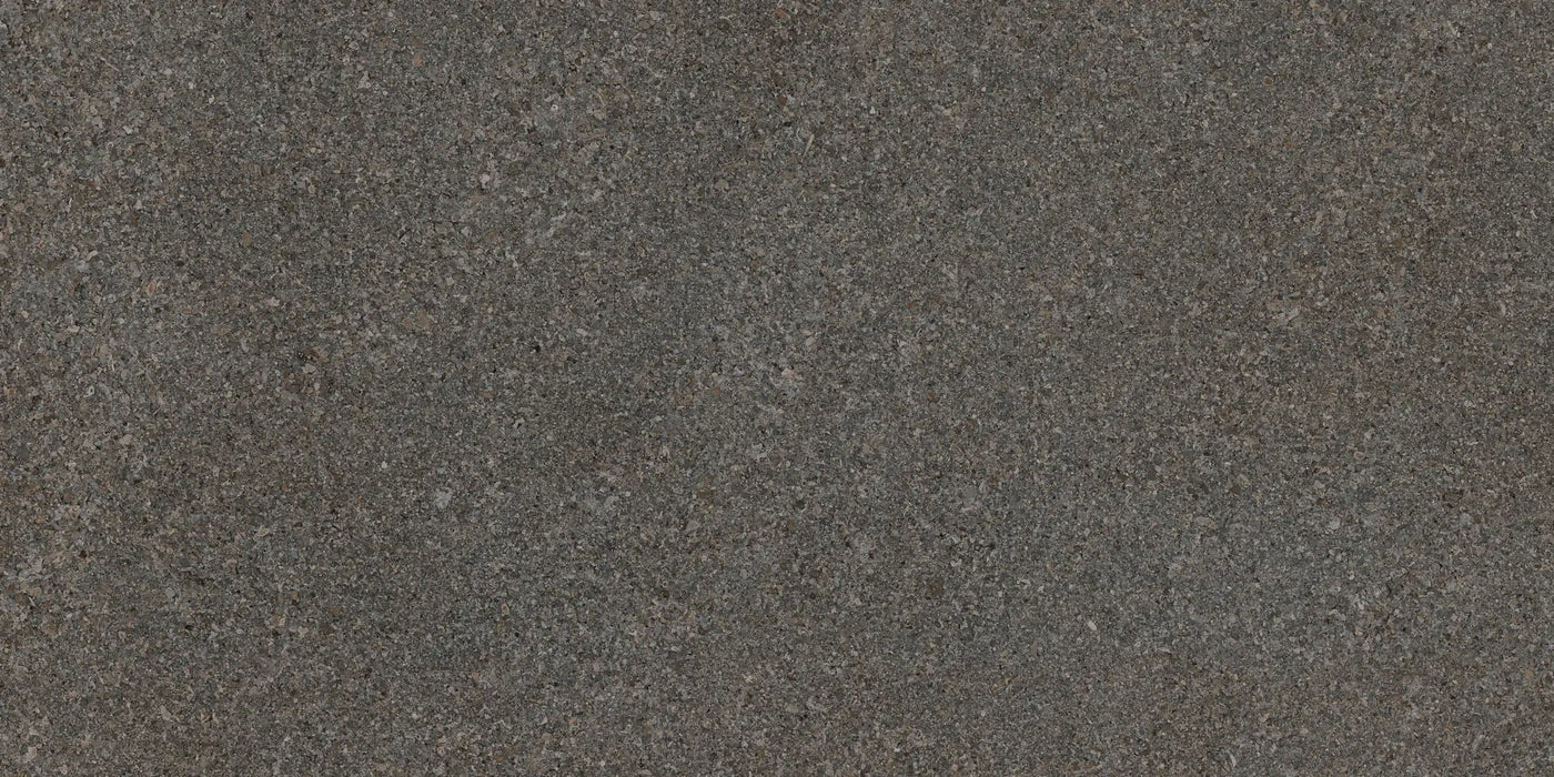 Agrob Buchtal Area Pro 12" x 24" Porcelain Tile