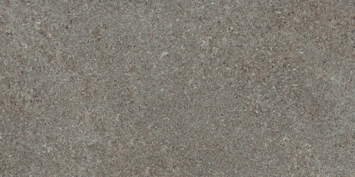 Agrob Buchtal Area Pro 12" x 24" Porcelain Tile