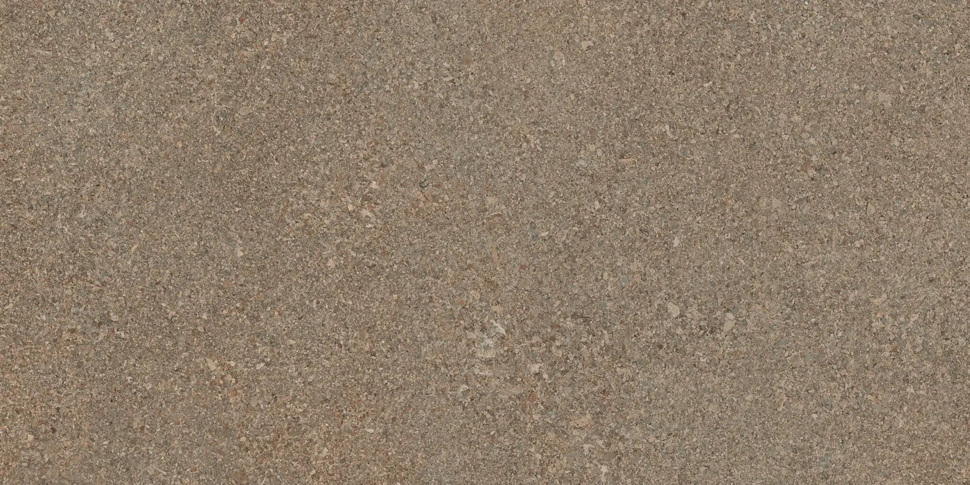 Agrob Buchtal Area Pro 12" x 24" Porcelain Tile