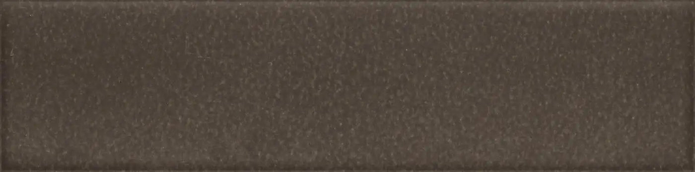 Agrob Buchtal Craft 2.5" x 10" Porcelain Tile