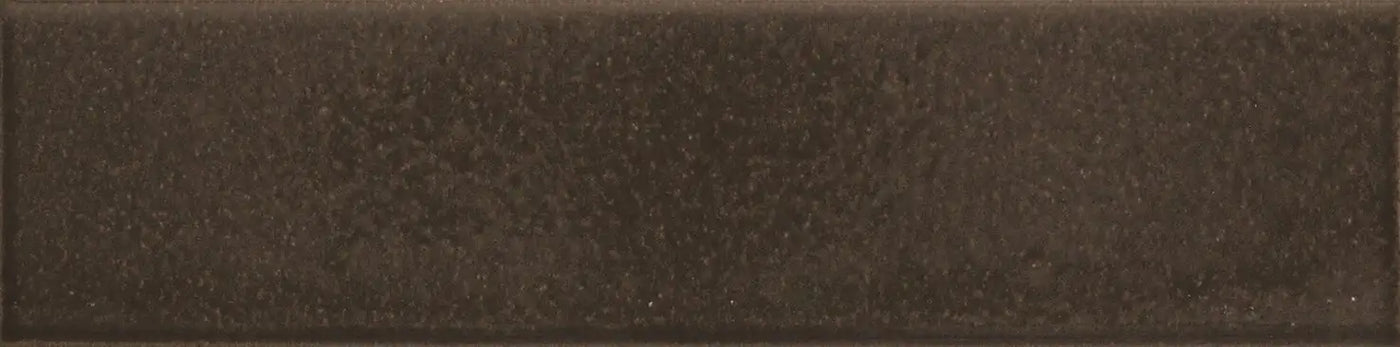 Agrob Buchtal Craft 2.5" x 10" Porcelain Tile