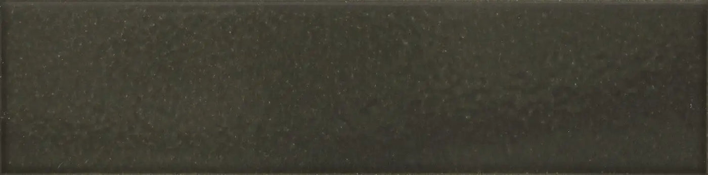 Agrob Buchtal Craft 2.5" x 10" Porcelain Tile