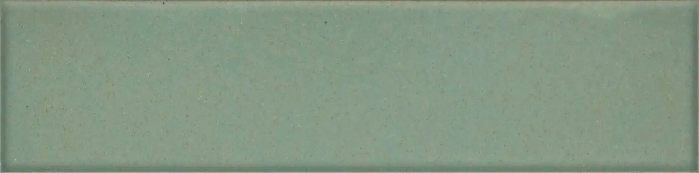 Agrob Buchtal Craft 2.5" x 10" Porcelain Tile
