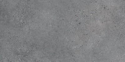 Agrob Buchtal Trio 12" x 24" Porcelain Tile