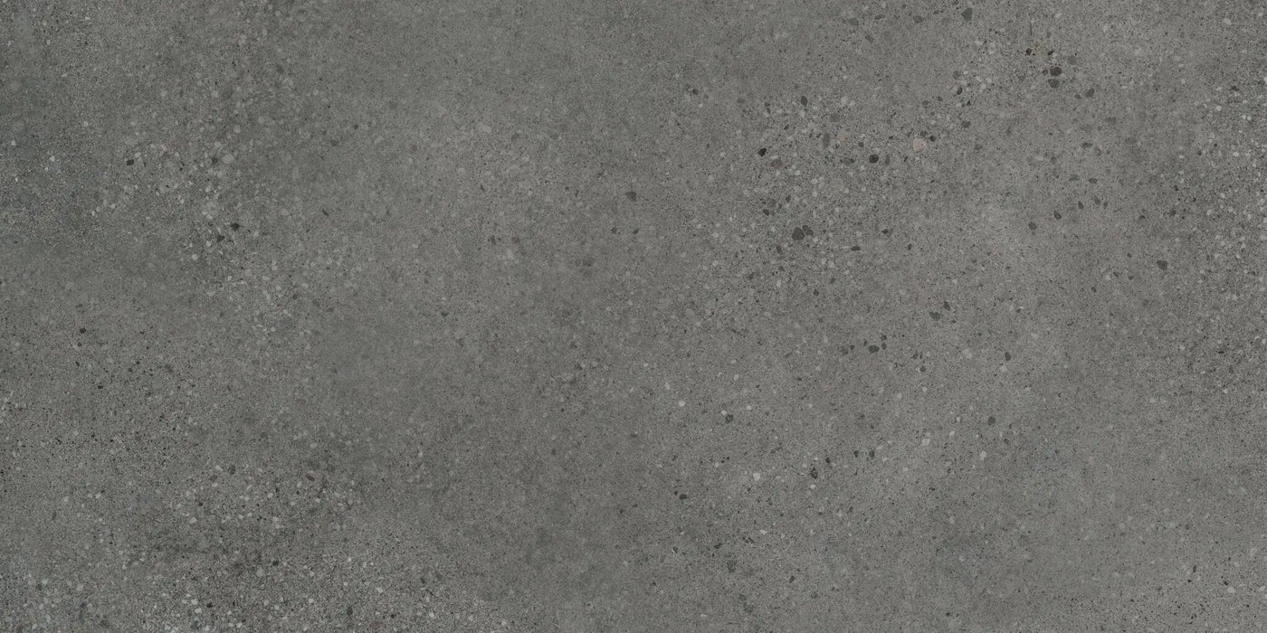 Agrob Buchtal Trio 12" x 24" Porcelain Tile