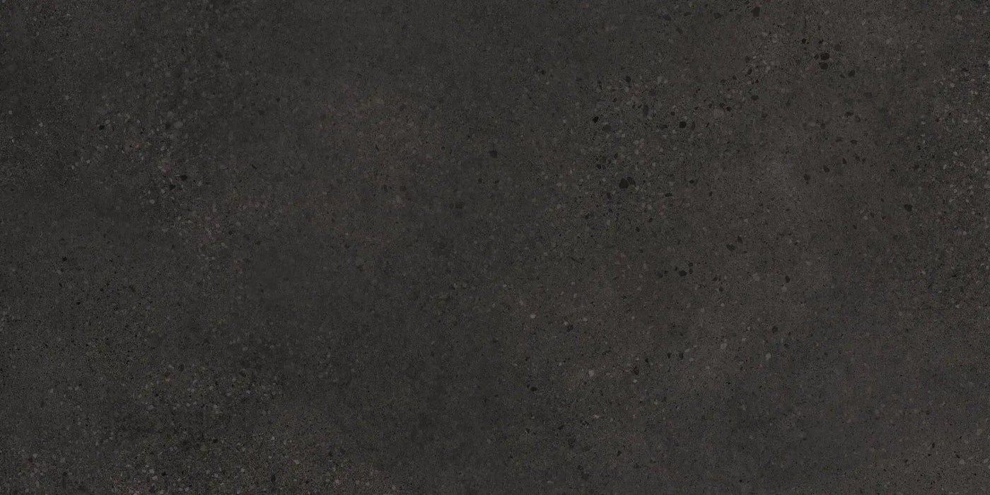 Agrob Buchtal Trio 12" x 24" Porcelain Tile