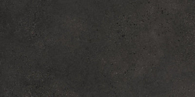 Agrob Buchtal Trio 12" x 24" Porcelain Tile