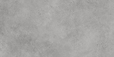 Agrob Buchtal Trio 24" x 48" Porcelain Tile