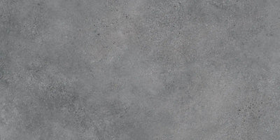 Agrob Buchtal Trio 24" x 48" Porcelain Tile