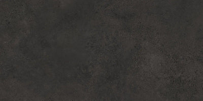 Agrob Buchtal Trio 24" x 48" Porcelain Tile
