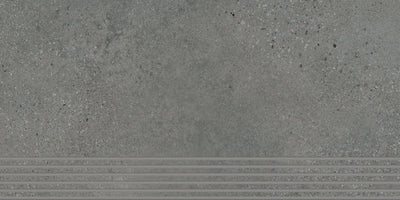 Agrob Buchtal Trio Stair 12" x 24" Porcelain Tile